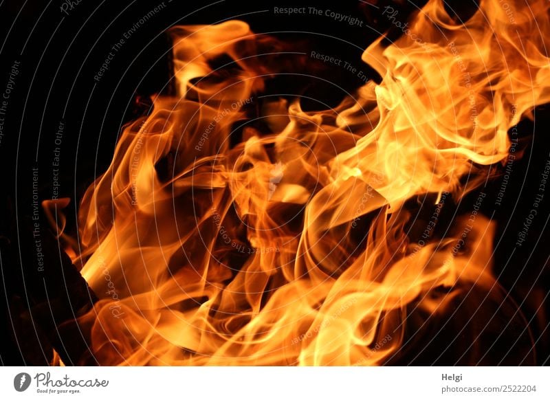 Geschwindigkeit | lodernde Flammen Feuer Brand leuchten gelb orange schwarz Warmherzigkeit Angst Todesangst ästhetisch Bewegung einzigartig bedrohlich Stimmung