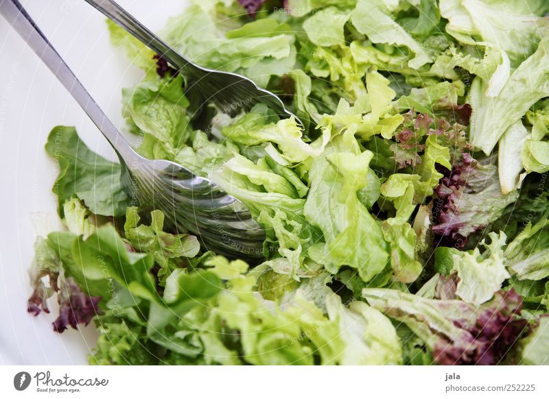 CHAMANSÜLZ | foodfoto Lebensmittel Salat Salatbeilage Ernährung Mittagessen Bioprodukte Vegetarische Ernährung Diät Schalen & Schüsseln Besteck Gesundheit grün