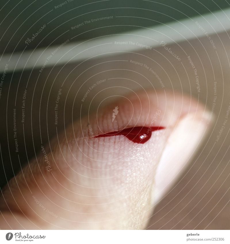 Aua! Haut Finger rot Schmerz Blut Wunde Farbfoto Detailaufnahme Makroaufnahme