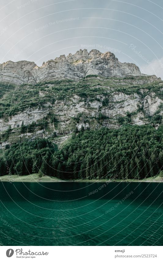Seealpsee Umwelt Natur Landschaft Alpen Berge u. Gebirge natürlich grün seealpsee Tourismus Gebirgssee Kanton Appenzell Schweiz Farbfoto Außenaufnahme