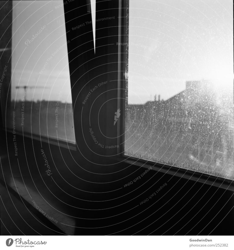 München. Stadt Stadtzentrum Haus Gebäude Fenster authentisch hell schön Stimmung Schwarzweißfoto Innenaufnahme Menschenleer Tag Licht Schatten