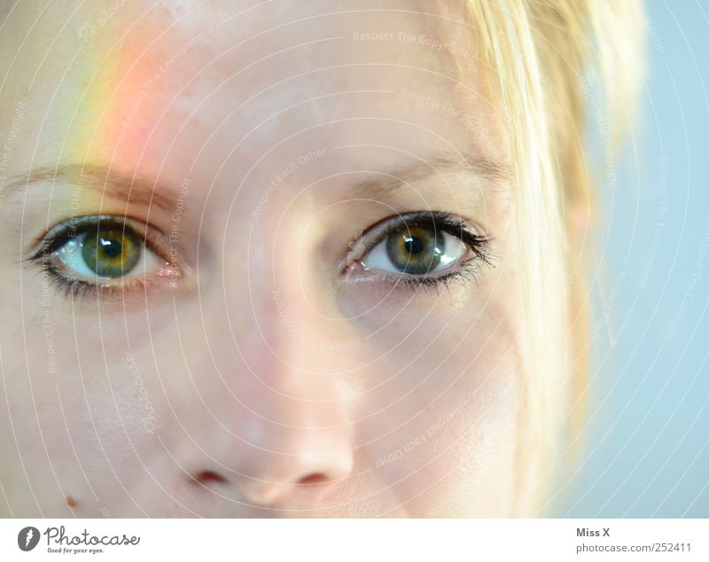 rainbow eye feminin Gesicht Auge 1 Mensch 18-30 Jahre Jugendliche Erwachsene schön mehrfarbig regenbogenfarben Spektralfarbe Regenbogenhaut Farbfoto Nahaufnahme