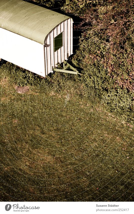 [CHAMANSÜLZ 2011] Wohnzimmer Landschaft Pflanze Sonnenlicht Baum Gras Sträucher Park Wiese außergewöhnlich Bauwagen grün Naturliebe Wagen Anhänger Bauarbeiter