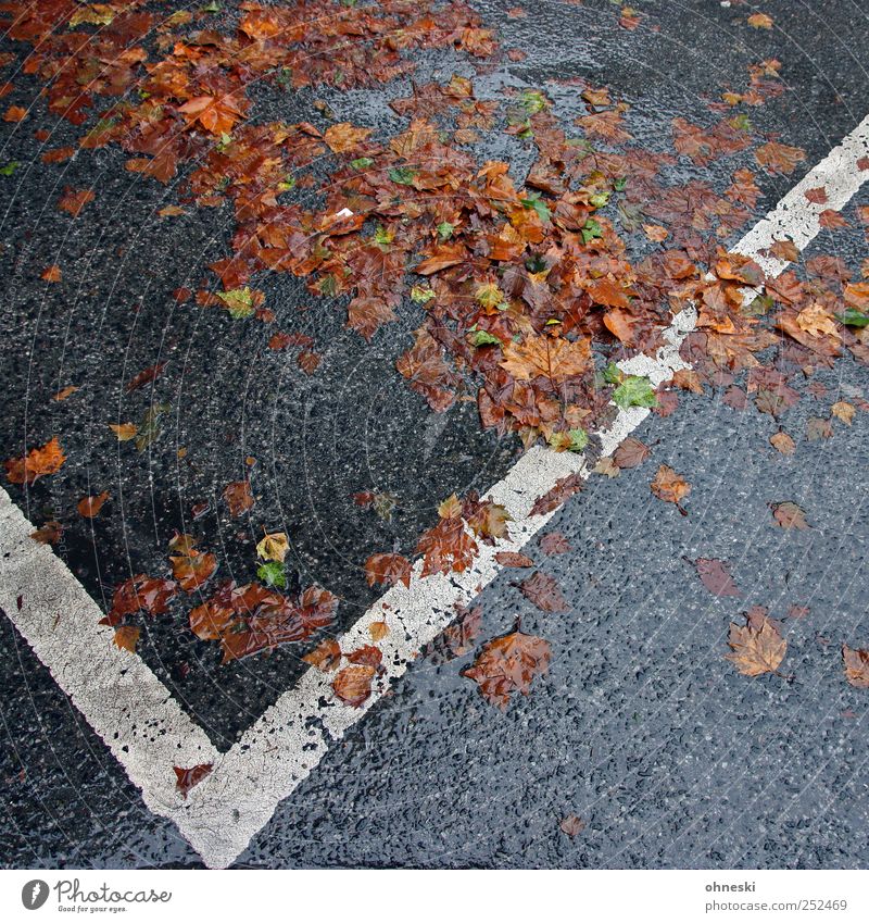Herbst Wetter schlechtes Wetter Regen Straße Parkplatz Traurigkeit Trauer Müdigkeit nass Farbfoto Außenaufnahme Strukturen & Formen Menschenleer