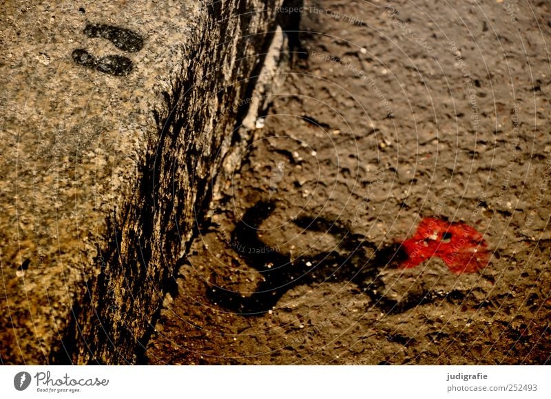 Gesprungen Kunst Straße Zeichen Graffiti liegen springen verrückt rot Stimmung Tod Erschöpfung Symbole & Metaphern Selbstmord Unfall Blut Bordsteinkante Fußspur