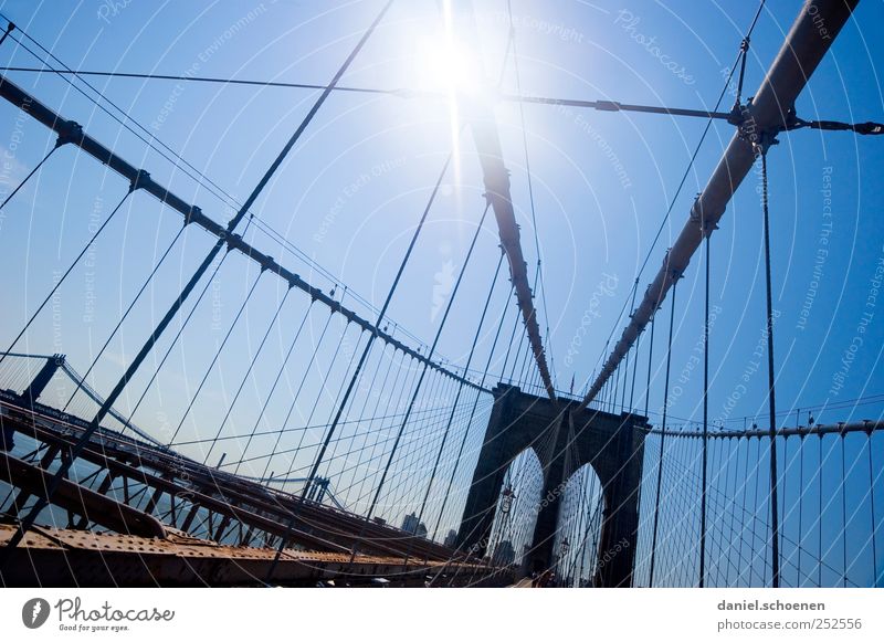 Brooklyn Bridge Ferien & Urlaub & Reisen Tourismus Ferne Sightseeing Städtereise Wolkenloser Himmel Schönes Wetter Stadt Skyline Brücke Sehenswürdigkeit