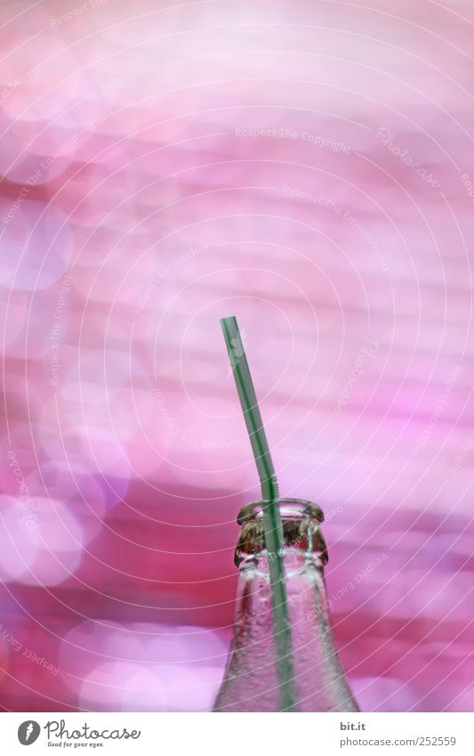 Rosa Pause... Getränk Erfrischungsgetränk Trinkwasser Limonade Flasche Trinkhalm Lifestyle Nachtleben Veranstaltung Strandbar Lounge trinken Feste & Feiern