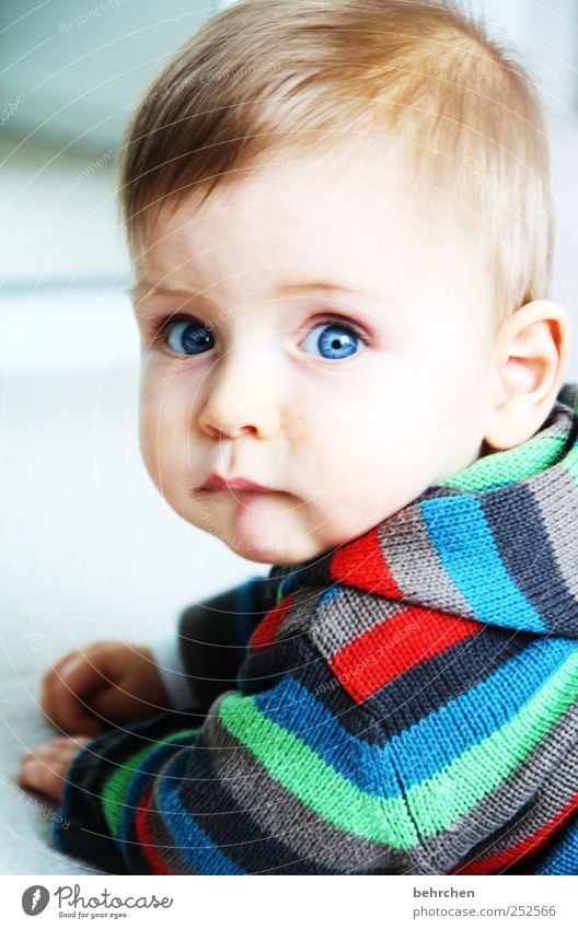 liebhaben Mensch Kind Baby Kleinkind Kindheit Haut Kopf Haare & Frisuren Gesicht Auge Ohr Nase Mund Lippen 1 0-12 Monate Zufriedenheit Sicherheit Schutz