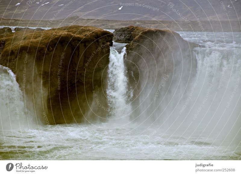 Island Umwelt Natur Landschaft Urelemente Wasser Klima Felsen Schlucht Fluss Wasserfall Godafoss gigantisch nass natürlich wild Stimmung Kraft gewaltig Gischt