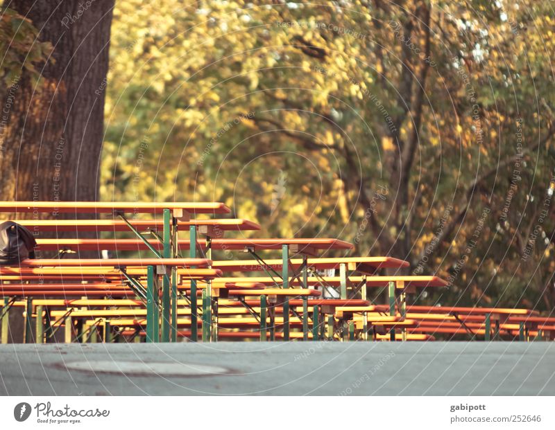 noch Plätze frei Stuhl Tisch ausgehen Veranstaltung braun Idylle Pause Perspektive Holzbank Holztisch Sitzgelegenheit Ausflugsziel Gartenmöbel Lokal Herbst Baum