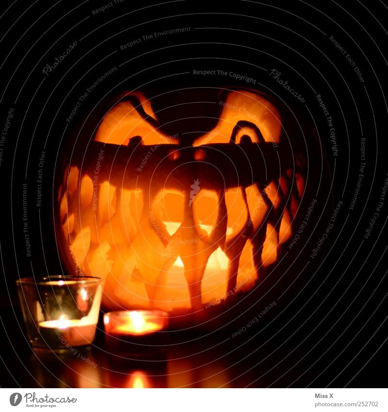 Happy Halloween Gemüse Auge Mund Zähne dunkel gruselig Gesichtsausdruck grinsen Grimasse Kerze Kerzenschein Dekoration & Verzierung Kürbis Teelicht Angst