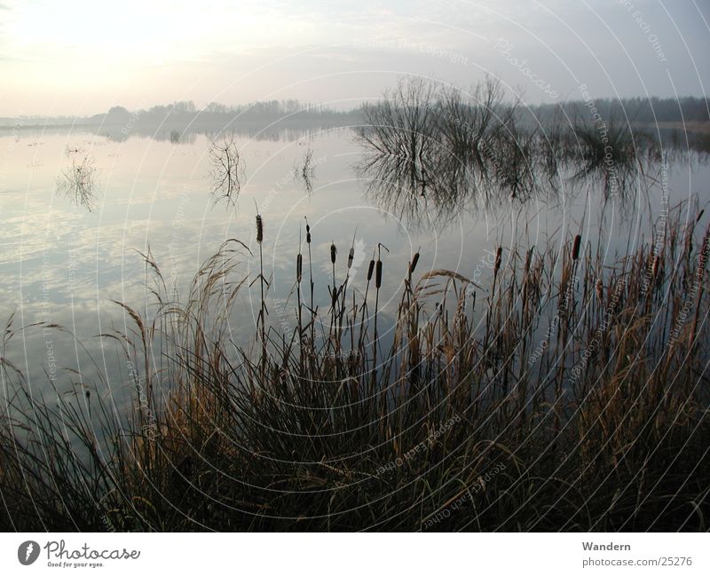 Teichlandschaft Gegenlicht Morgen Wasser Stimmung Tagebau Renaturierung