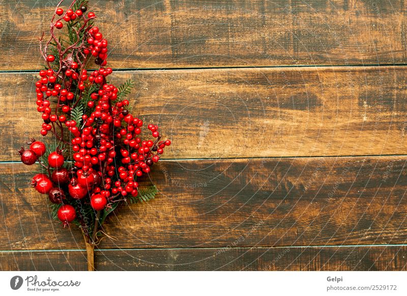 Zarter Weihnachtskranz aus Kiefernzapfen auf Holzuntergrund Frucht Winter Dekoration & Verzierung Feste & Feiern Weihnachten & Advent Natur Pflanze Baum Blatt