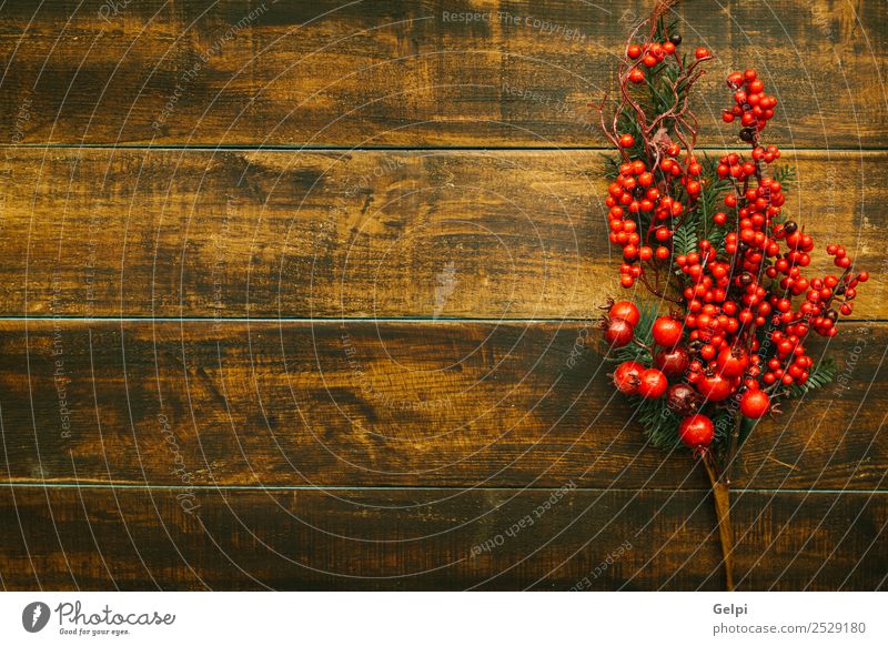 Weihnachtszweig mit roten Früchten auf Holzuntergrund Frucht Winter Dekoration & Verzierung Feste & Feiern Weihnachten & Advent Natur Pflanze Baum Blatt neu