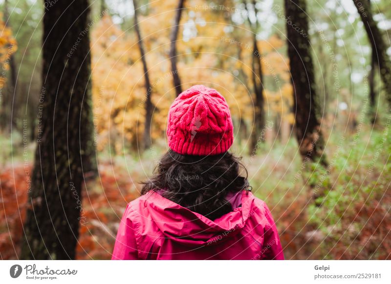 Reife Frau beim Wandern im Wald im Winter Lifestyle schön Gesicht Freiheit Mensch Erwachsene Natur Herbst Baum Blatt Park Wege & Pfade Mode Hut brünett
