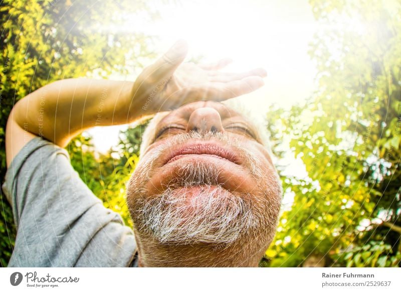 Porträt von einem Mann, er schwitzt bei großer Sommerhitze Mensch maskulin Erwachsene Männlicher Senior 1 Sonne Sonnenlicht Klima Klimawandel Wetter Wärme