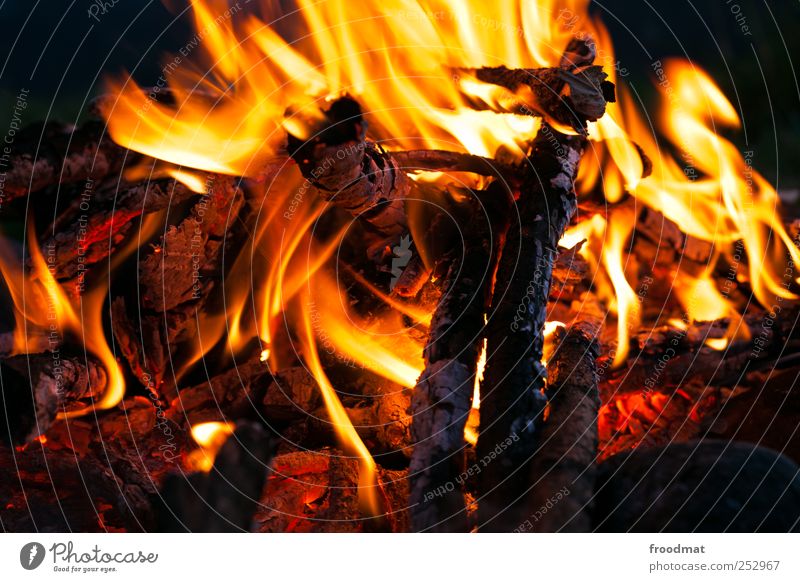 Burnout Freizeit & Hobby Ferien & Urlaub & Reisen Abenteuer Feuer Erholung heiß Wärme hypnotisch Lagerfeuerstimmung Brandasche Glut Flamme Erschöpfung glühend