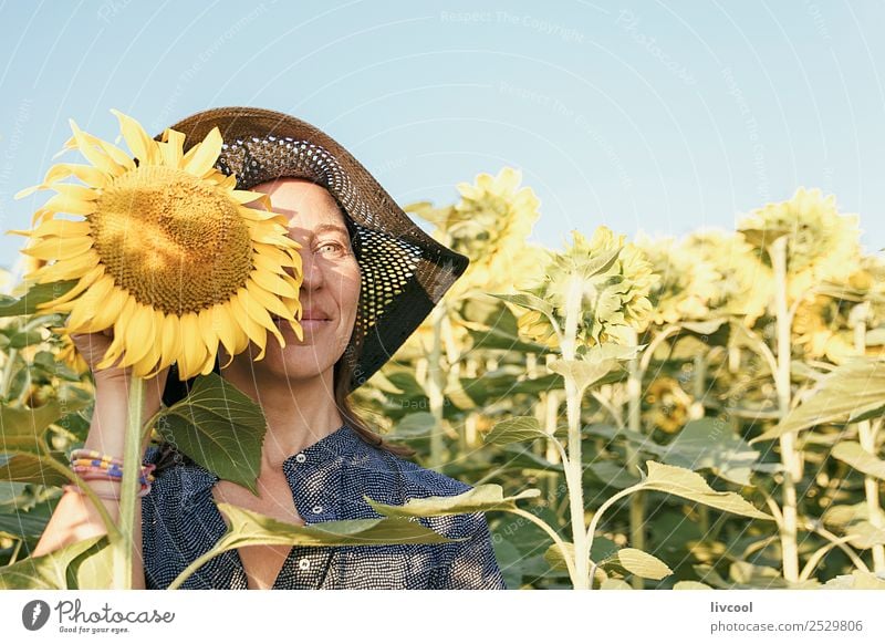 Frau unter den Sonnenblumen Lifestyle Glück Tourismus Abenteuer Mensch feminin Erwachsene Weiblicher Senior 1 45-60 Jahre Natur Landschaft Pflanze Wolken Blume
