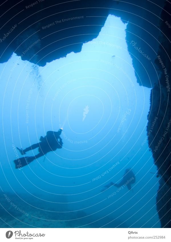 Cave Diving Freizeit & Hobby Ferien & Urlaub & Reisen Tourismus Abenteuer Freiheit Meer tauchen 2 Mensch Natur Wasser Riff Mittelmeer Insel Ustica Höhle Neugier