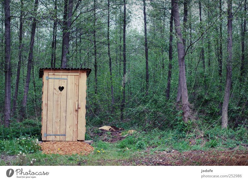 stilles Örtchen Umwelt Natur Pflanze Wald einfach Toilette toilettenhäuschen Plumpsklo Hütte Herz Holz Einsamkeit Wildnis freie landschaft grün braun