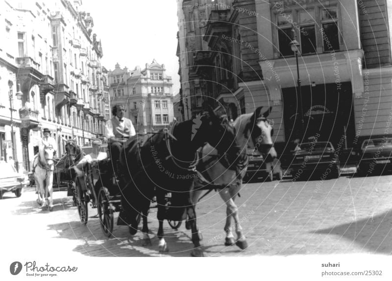 Prag Stadt Tschechien Fotolabor Pferd Pferdekutsche Europa Ferien & Urlaub & Reisen Schwarzweißfoto Straße