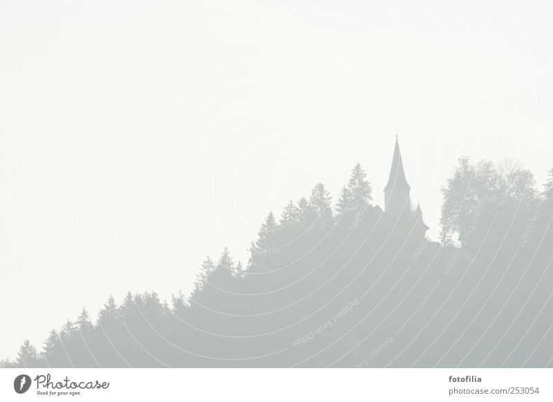 Allerheiligen Landschaft schlechtes Wetter Nebel Baum Wald Österreich Kirche Kirchturm Gedeckte Farben Menschenleer Textfreiraum links Textfreiraum rechts