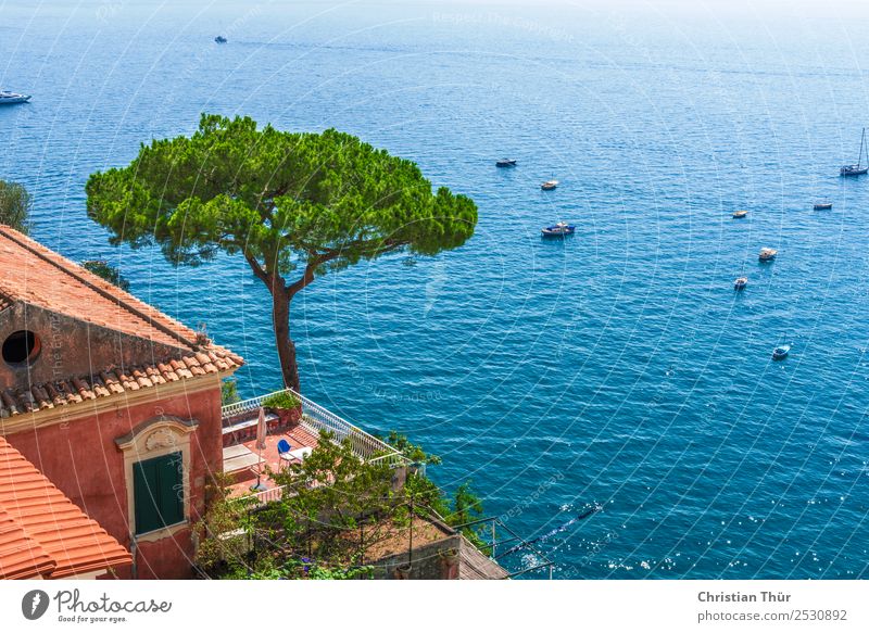 Capri Leben harmonisch Wohlgefühl Zufriedenheit Erholung ruhig Schwimmen & Baden Ferien & Urlaub & Reisen Tourismus Ausflug Sightseeing Städtereise Kreuzfahrt