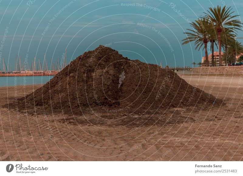 Ein Haufen trockener Algen am Strand, Mallorca. Umwelt Natur Pflanze Sand Himmel Sommer Klima Wärme posidonia Küste Insel Can Pastilla Spanien Europa Stadtrand