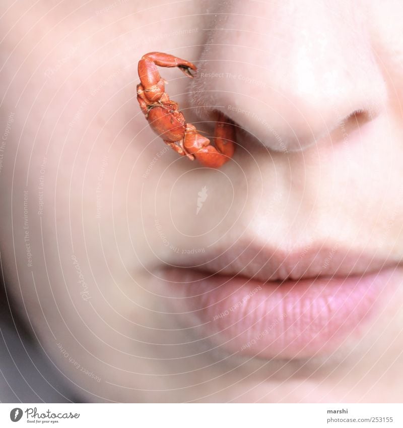 Dass Männer immer so klammern müssen.... Mensch feminin Frau Erwachsene Haut Gesicht Nase Mund 1 rot festhalten Krebs Krabbe Tiergesicht tierisch klein