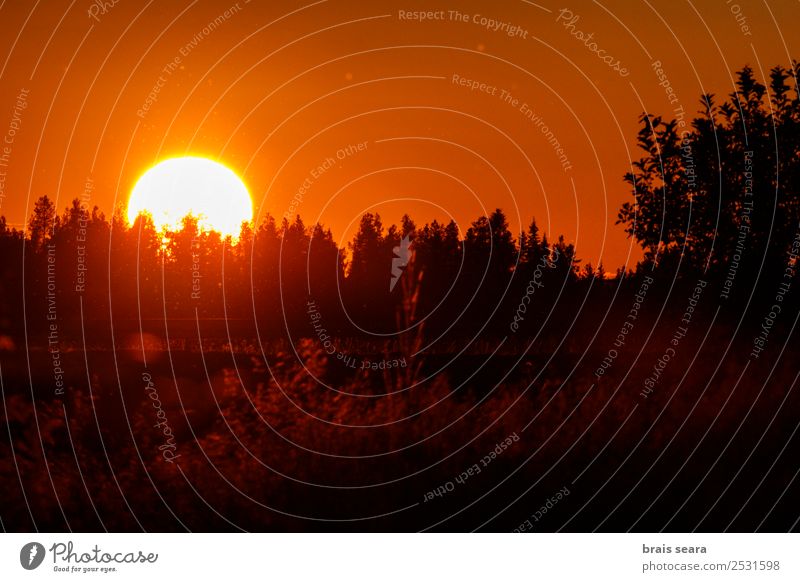Sonnenuntergang über dem Wald schön Ferien & Urlaub & Reisen Tourismus Ausflug Sommer Berge u. Gebirge Sonnenenergie Umwelt Natur Landschaft Erde Himmel