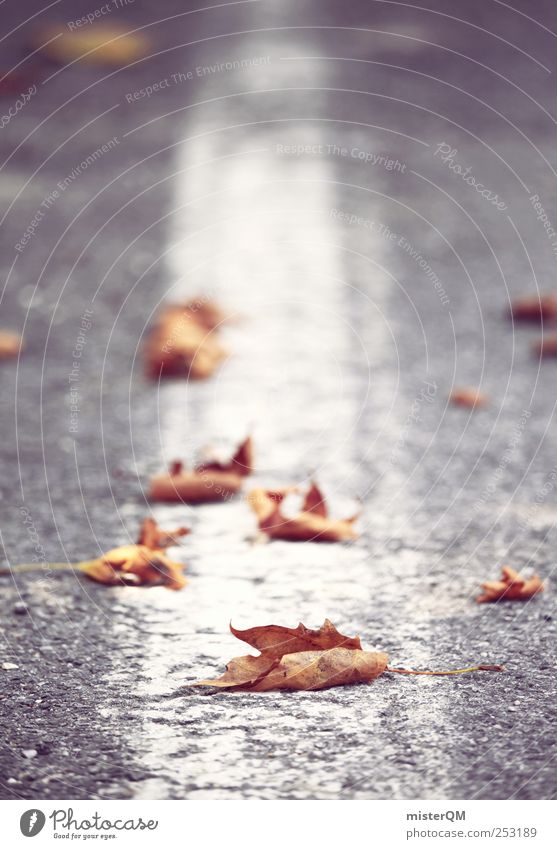 Straßenrand. Verkehrswege ästhetisch Herbst Herbstlaub herbstlich Herbstbeginn Herbstwind Seitenstreifen Fahrbahnmarkierung Asphalt Linie Streifen geradeaus