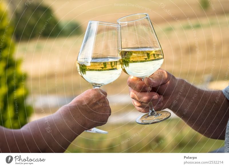 Weißwein in einem Garten mit Weingläsern Mittagessen Abendessen Getränk trinken Alkohol Lifestyle Reichtum Stil Freizeit & Hobby Sommer Feste & Feiern