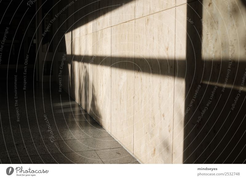 Schatten im Treppenhaus Innenarchitektur Haus Gebäude Mauer Wand entdecken leuchten ästhetisch Neugier Design modern Perspektive Ferne Schattenspiel