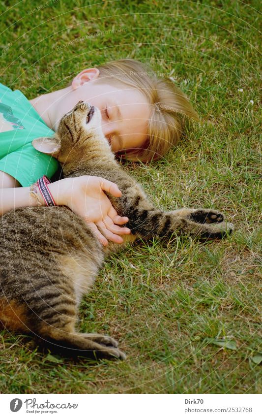Best Friends: Kind mit Kater. Häusliches Leben Garten Mensch maskulin Junge Kindheit 1 8-13 Jahre Sommer Gras Wiese Tier Haustier Katze Tigerkatze Hauskatze