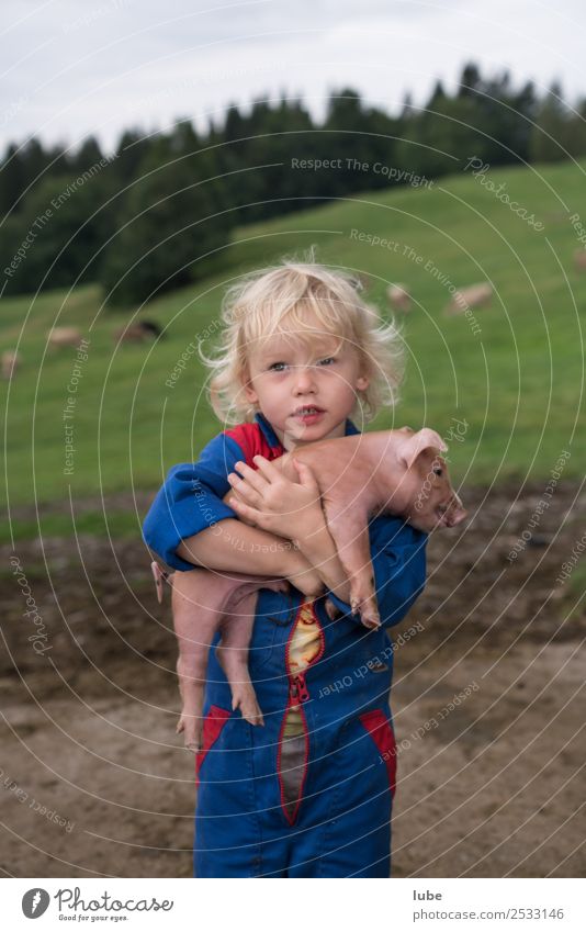 Schwein gehabt 2 Landwirtschaft Forstwirtschaft Kleinkind Mädchen 1 Mensch 3-8 Jahre Kind Kindheit Tier Nutztier Tierjunges Umarmen Tierliebe Freundschaft