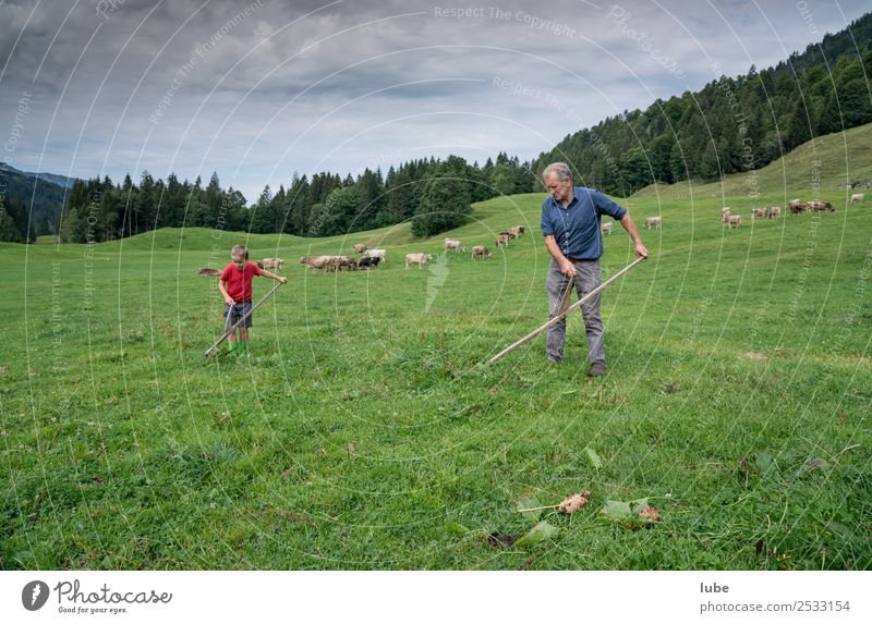 a gmate Wies`n Arbeit & Erwerbstätigkeit Landwirtschaft Forstwirtschaft Umwelt Natur Landschaft Sommer Klima Wiese Feld Alpen mähen Sense mäharbeit