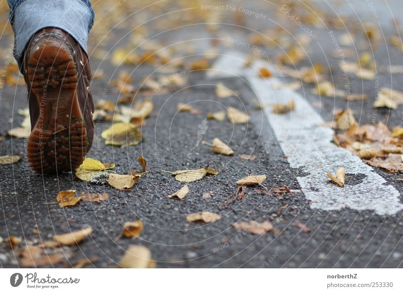 Fuß Straße Herbst Pfeil 1 Mensch Blatt laufen Farbfoto Gedeckte Farben Außenaufnahme Detailaufnahme Textfreiraum rechts Tag Licht Schatten
