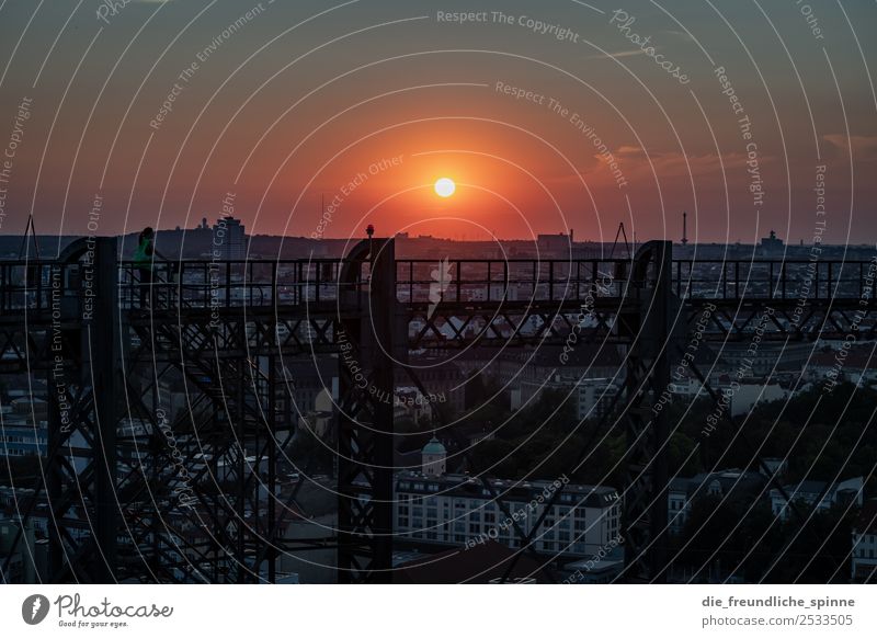 Sonnenaufgang über Berlin IIII Gegenlicht schwarz gold Sonnenuntergang rot gelb Außenaufnahme Dämmerung Sonnenlicht Menschenleer Abend Landschaft Sonnenstrahlen