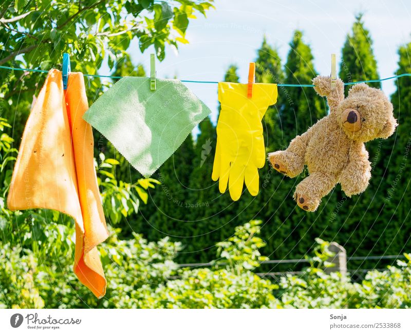 Teddybär, Reinigung, Putztuch, Wäscheleine Garten Natur Himmel Sommer Baum Handschuhe hängen Reinigen dreckig nachhaltig Sauberkeit trocken mehrfarbig