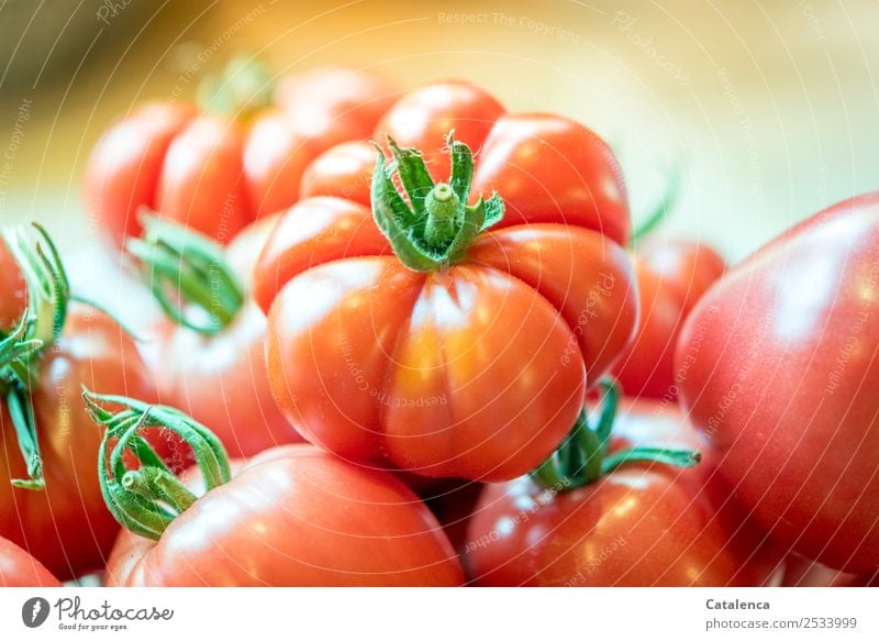 Tomaten Ernährung Bioprodukte Vegetarische Ernährung Slowfood Italienische Küche Gemüse Herbst Pflanze Nutzpflanze Essen saftig orange rosa rot Begeisterung