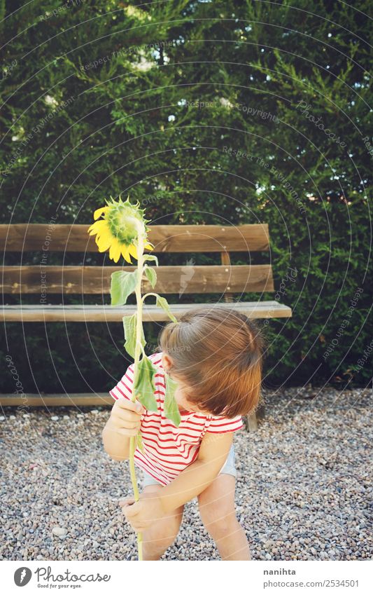 Kleines Mädchen hält eine Sonnenblume. Lifestyle Wellness harmonisch Freizeit & Hobby Mensch feminin Kind Kleinkind Kindheit 1 1-3 Jahre Umwelt Natur Sommer