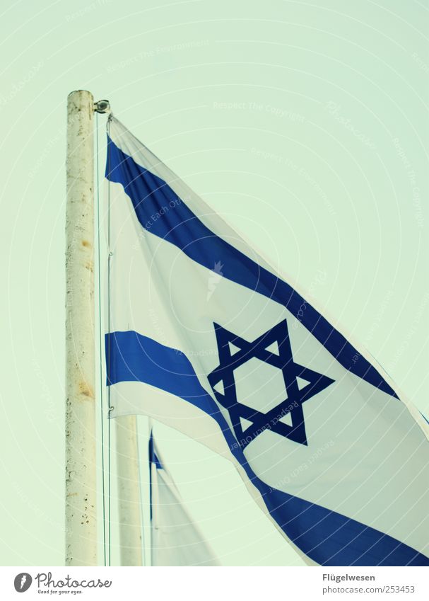Go Israel! Wahrzeichen Davidstern Fahne Judentum Israelis Farbfoto Außenaufnahme Menschenleer Textfreiraum oben Tag Vor hellem Hintergrund Nationalflagge wehen