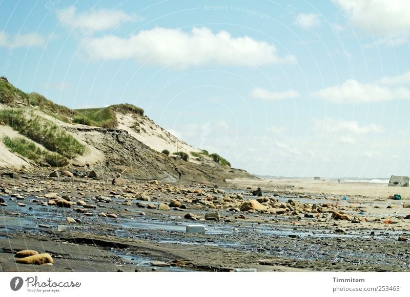 Düne mit Moräne Ferien & Urlaub & Reisen Ausflug Sommer Strand Meer Umwelt Natur Landschaft Urelemente Sand Wasser Wolken Schönes Wetter Küste Nordsee Dänemark