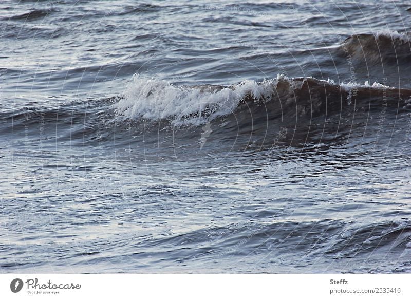 Nordsee immer neu nordisch maritim Meer nordische Romantik Wasser Welle Wellen Meeresstimmung Wellenkamm Bucht blau grau natürlich Wellengang Wasseroberfläche