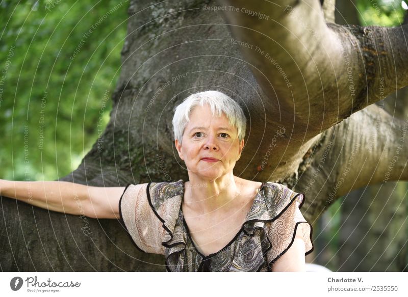 Im Baum Mensch feminin Frau Erwachsene Weiblicher Senior 1 45-60 Jahre Natur grauhaarig kurzhaarig Holz berühren Erholung Lächeln Blick authentisch elegant frei