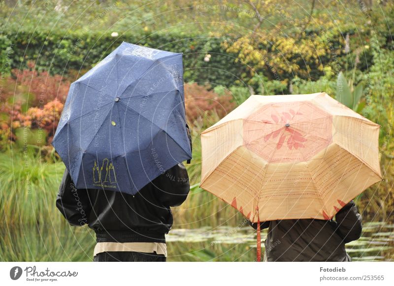 Verbeultes Ego Paar Partner 2 Mensch Wasser Herbst Regen Garten Regenschirm Zusammensein kaputt nass blau braun grün Zur Abtretung nachgeben Individueller Raum