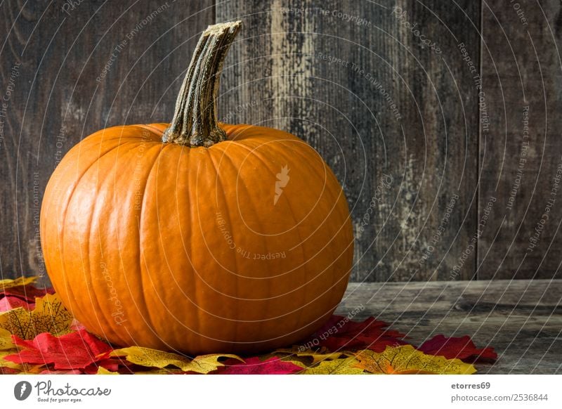 Kürbis und Herbstblätter auf Holzuntergrund Lebensmittel Gesunde Ernährung Foodfotografie orange Gemüse Halloween festlich Jahreszeiten Saison Oktober