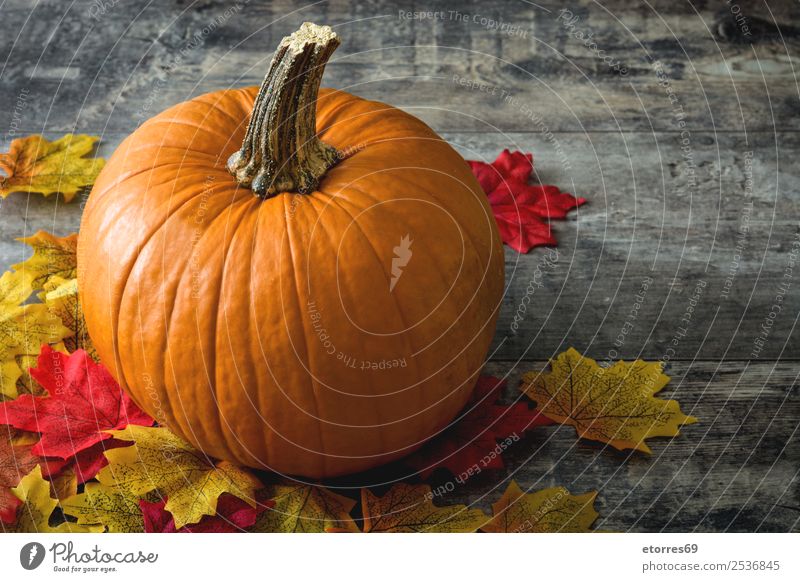 Kürbis und Herbstblätter auf Holzuntergrund Lebensmittel Gesunde Ernährung Foodfotografie orange Gemüse Halloween festlich Jahreszeiten Saison Oktober