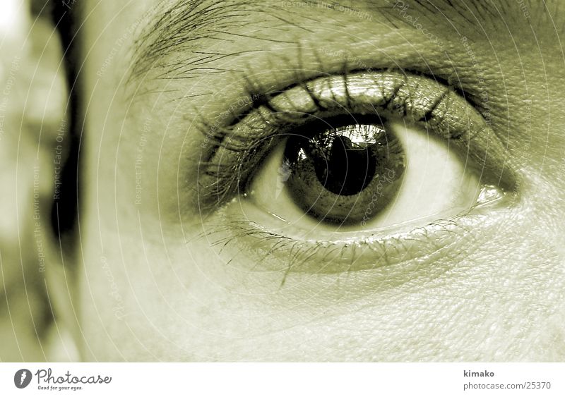 aufgepaßt Makroaufnahme Mensch Auge eye ojo Mexiko