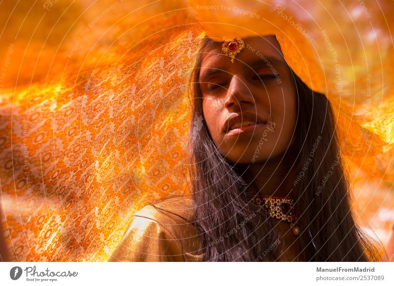 traditionelles indisches Frauenporträt schön Erholung ruhig Erwachsene Natur Park Mode Bekleidung Kleid Schmuck gold Tradition Inder Imkerschleier darunter